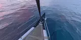 Elan E6-Segelyacht Iron Man in Kroatien